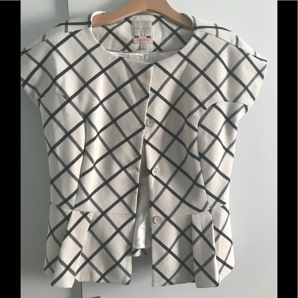 The Limited Scandel Suit Jacket